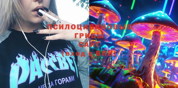 стафф Абинск