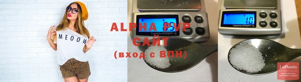 стафф Абинск