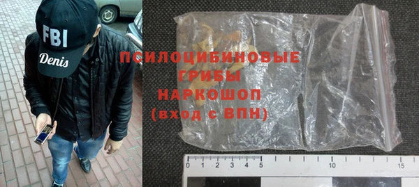 дурь Алексин